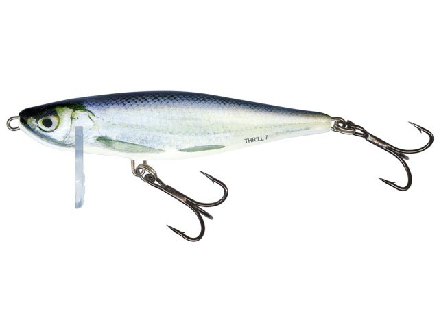 Wobler Salmo Thrill 09 S RBL