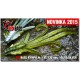 Nymfa Redbass Nr. 1 XL Olive/Silver 130 mm