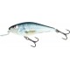 Wobler Salmo Executor 05 SR RD