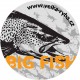 Fishing Sticker Trout 130 mm
