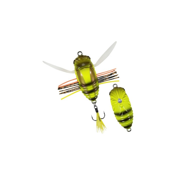 Cikáda DUO Realis Koshinmushi 30 Honey Bug