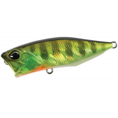 Wobler DUO Realis Popper 64 Chart Gill Halo
