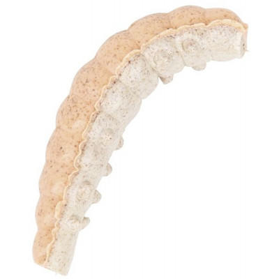 Vosí larva Berkley Honey Worm 2,5 cm Orange Pearl 55 ks