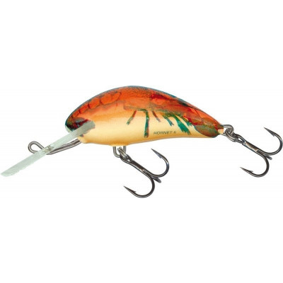 Wobler Salmo Hornet 05 S RCW