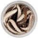 Wasp larva Berkley Honey Worm 2.5 cm Grey Pearl 55 pcs