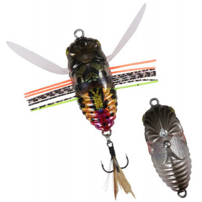 Cicada DUO Realis Shinmushi 40 Sunset Moth