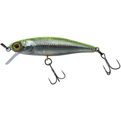 Wobler Illex Tiny Fry 5 cm SP RT Visible Roach