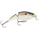 Wobler Rapala Jointed Shallow Shad Rap 05 SD