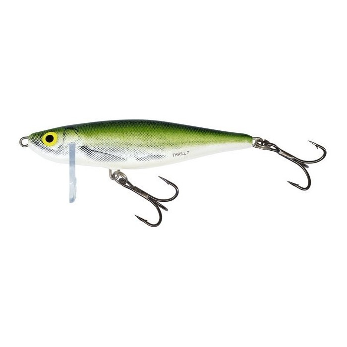 Wobler Salmo Thrill 05 S OB