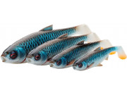 Plotice 3D River Roach