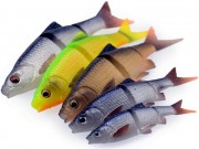 Plotice 3D Roach Swim n Jerk