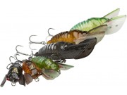 3D Cicada