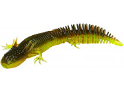 Mloci Ned Salamander