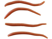 Žížaly Gulp Earthworm