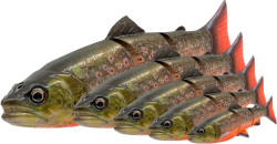 Pstruzi 3D Line Thru Trout