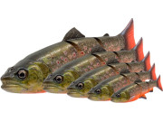 Pstruzi 3D Line Thru Trout