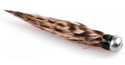 Hauzer's feathers